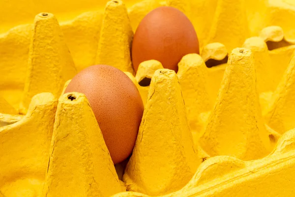 Twee Bruine Eieren Geel Kartonnen Eierdoosje Van Dichtbij Bekeken — Stockfoto