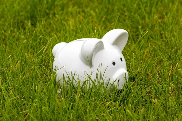 Coin Piggy Bank Green Meadow Financial Savings Concept — Stock Photo, Image