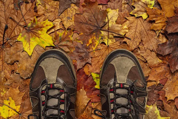 Wanderschuhe Auf Dem Waldboden Konzeptionelles Bild Von Beinen Wanderschuhen Auf — Stockfoto