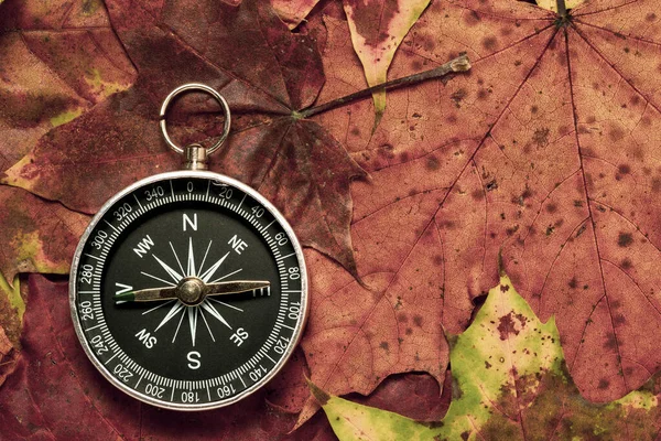 Brújula Colocada Sobre Las Hojas Caídas Bosque Otoño Viajes Senderismo —  Fotos de Stock