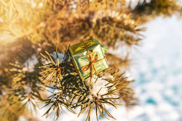 Egy Kis Ajándékdoboz Fenyőágakon Ajándék Játék Karácsonyfán Hóban — Stock Fotó
