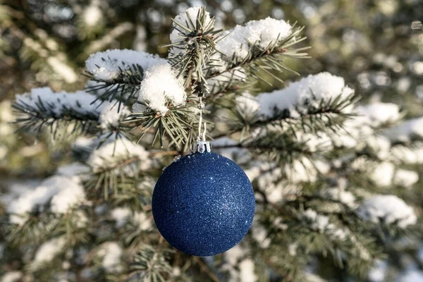 눈덮인 전나무 크리스마스 — 스톡 사진