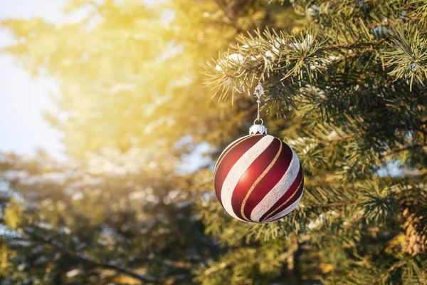 Bola Roja Navidad Una Rama Abeto Cubierta Nieve — Foto de Stock