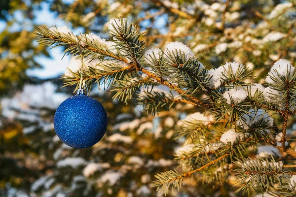 具有自然背景的蓝色圣诞饰品的云杉枝条 — 图库照片
