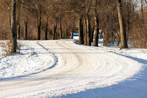 Snowy Forest Road Zimowy Dzień Pojęcie Niebezpiecznych Warunków Jazdy — Zdjęcie stockowe
