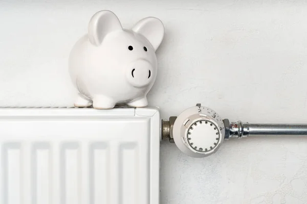 中央暖气散热器上的猪油库 取暖省钱的概念图 — 图库照片