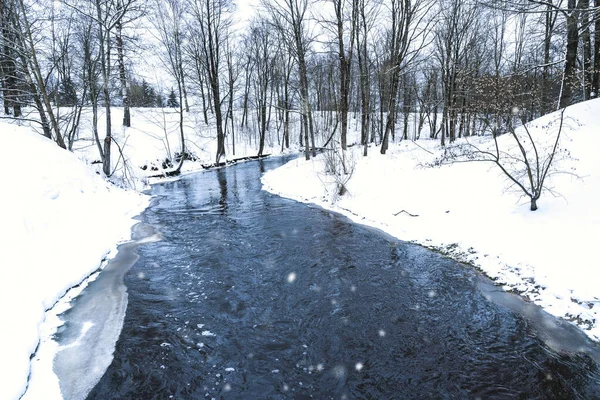 冬季森林河流景观中的积雪自然 森林河流在冬天 冬季森林河流 — 图库照片