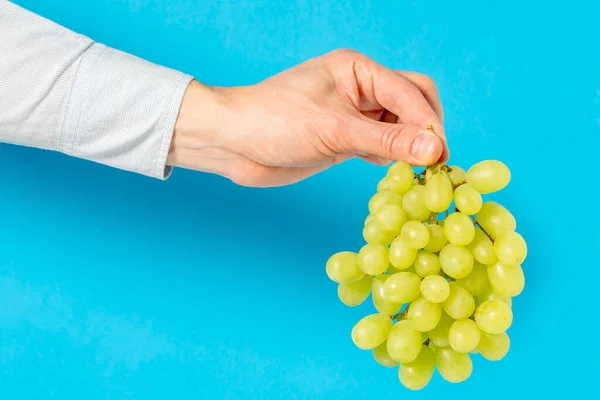Druiven Hand Met Hand Geplukte Rijpe Druiven Van Dichtbij Groene — Stockfoto