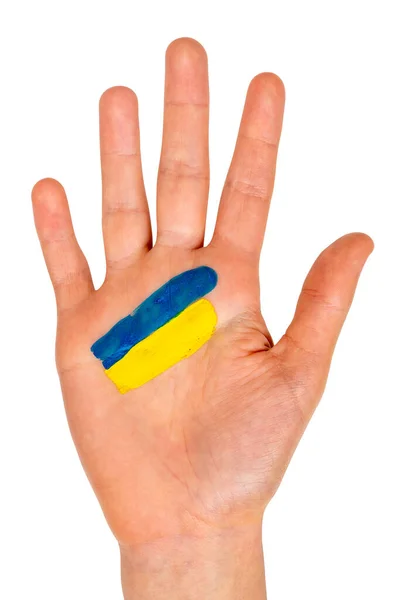 带着乌克兰彩绘国旗的儿童之手 停止战争 乌克兰的和平 被隔离了 — 图库照片