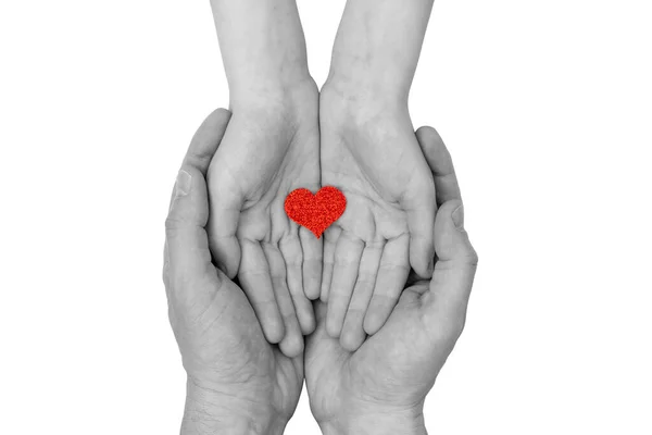 Familia Sosteniendo Pequeño Corazón Rojo Las Manos Cuidado Amor Cuidado —  Fotos de Stock