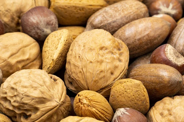 Close View Different Kinds Nuts Focus Walnut — Stockfoto