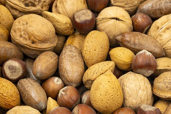 Assortment Nuts Shells Selection Different Types Nuts — Stockfoto