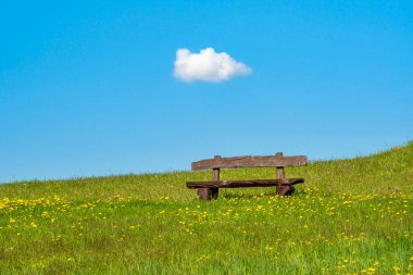 Bench on a meadow with a single cloud in a sky. Tranquil scene. clipart