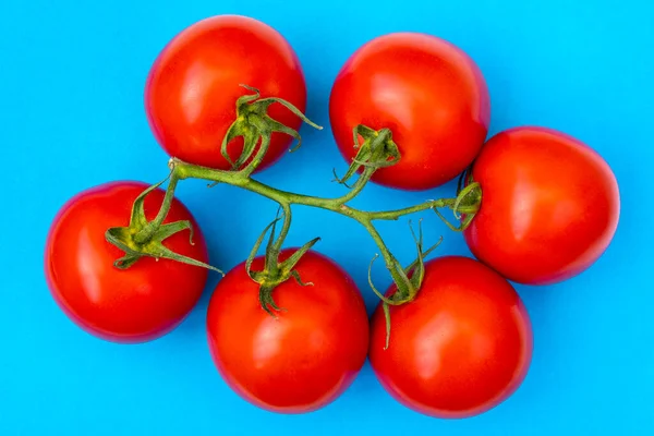 Czerwone Pomidory Gałązce Niebieskim Tle Świeże Warzywa Ogrodu Żywność Wegetariańska — Zdjęcie stockowe