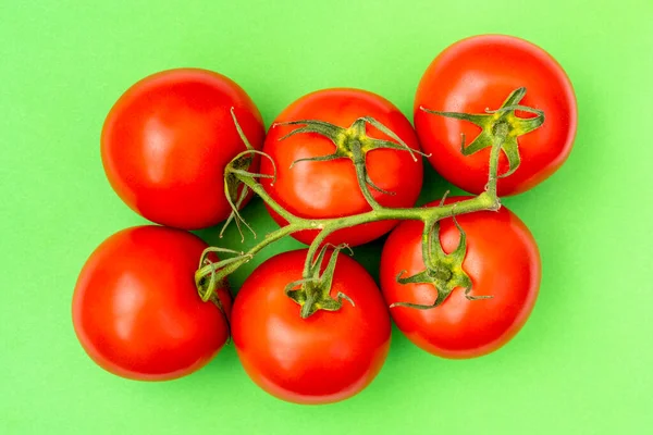 Красные Помидоры Веточке Зеленом Фоне Свежие Овощи Сада Вегетарианская Еда — стоковое фото