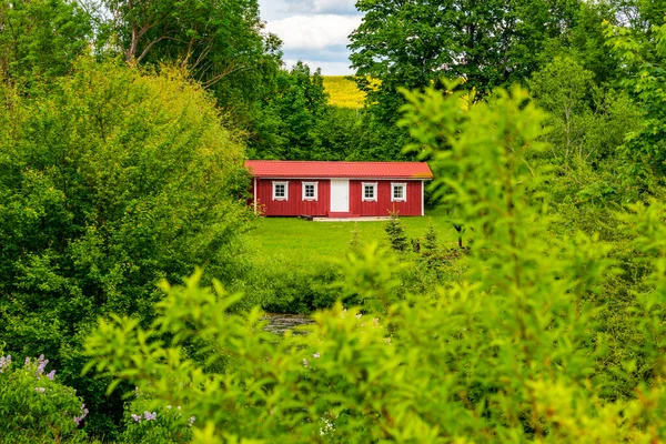 Red Wooden House Nature Lot Green Trees Lawn Vacation Country — Stock Photo, Image