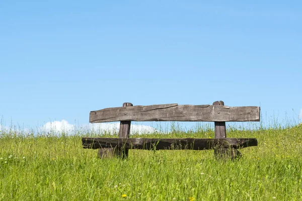 Empty Bench Natural Green Untrimmed Grass Field Green Lush Grass Royalty Free Stock Images