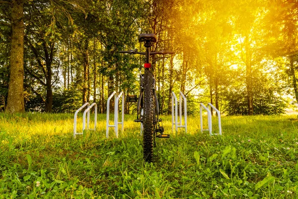 Bicicleta Estacionada Uma Floresta Bicicleta Esperando Para Ser Montado Carrinho — Fotografia de Stock