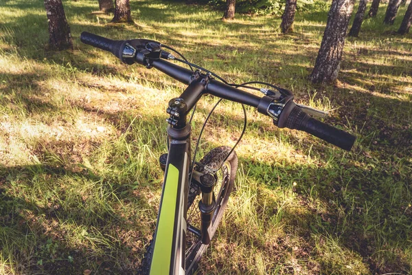 Handlebar of bicycle on forest background.Concept of world bicycle day, healthy lifestyle, cycling and sports activity in nature.