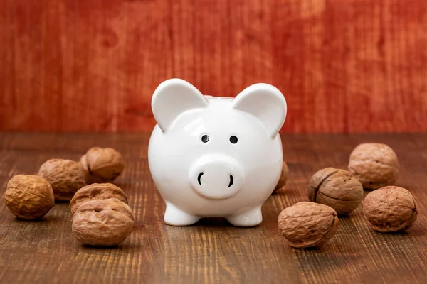 Ceramic Piggy Bank Walnuts Wooden Background Savings Concept — Stock Photo, Image