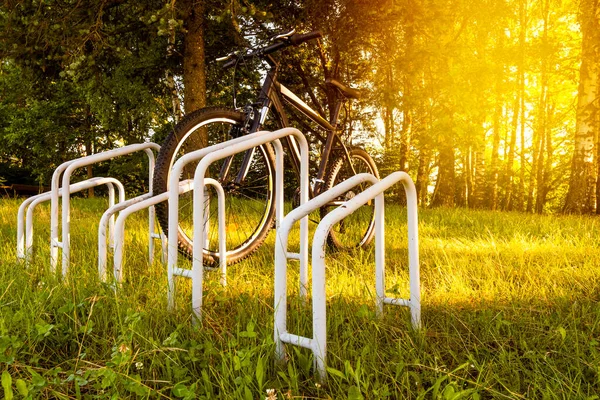 Sport Bike Parked Forest Bicycle Waiting Ridden Bicycle Stand — Stock Photo, Image