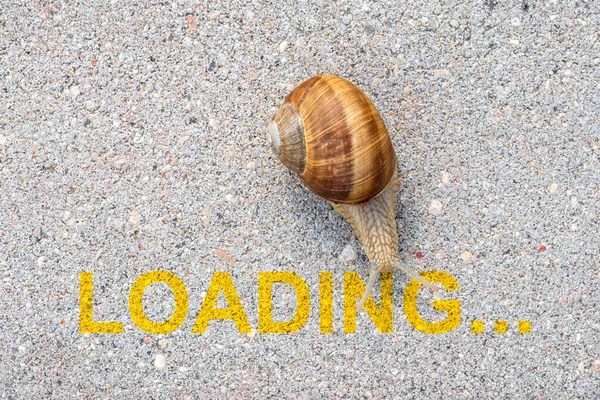 Loading, downloading, slow internet speed concept with word LOADING and Brown snail crawling on the road