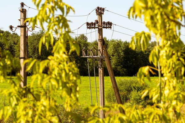 Power Supply Pylons Sunny Day Seen Trees — Fotografia de Stock