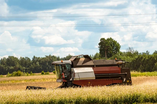 Working Harvesting Combine Field Agriculture Concept — ストック写真