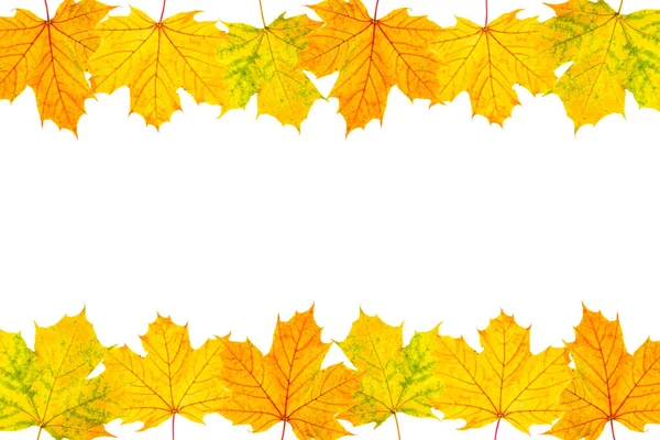 Border Frame Colorful Autumn Maple Leaves Copy Space — Fotografia de Stock