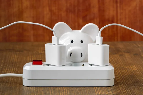 Electricity, energy crisis and power consumption concept - close-up of piggy bank and electric socket.