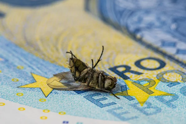 金融危机 枯燥无味的家蝇20欧元账单 特写镜头 经济衰退对欧盟经济的影响 — 图库照片