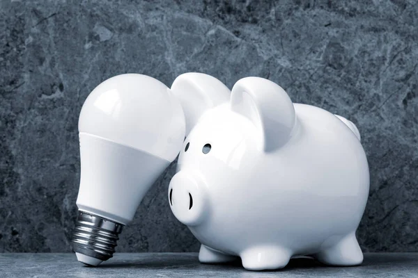 Energiesparkonzept Sparschwein Und Ökonomisch Ökologische Led Lampe — Stockfoto
