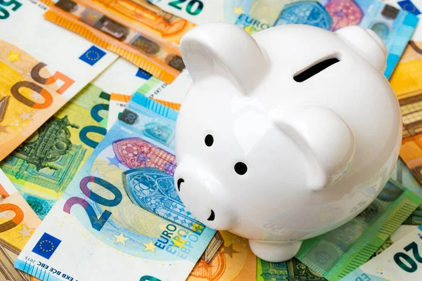 Para Üzerine Pembe Kumbara Euro Banknotları Mali Konsept — Stok fotoğraf