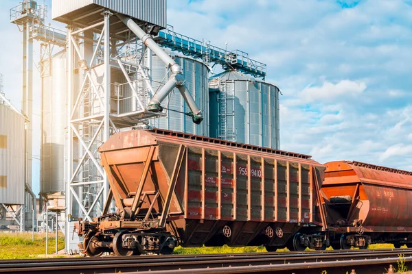 Loading Railway Carriages Grain Grain Elevator Grain Silo Warehouse Depository — Stock Photo, Image