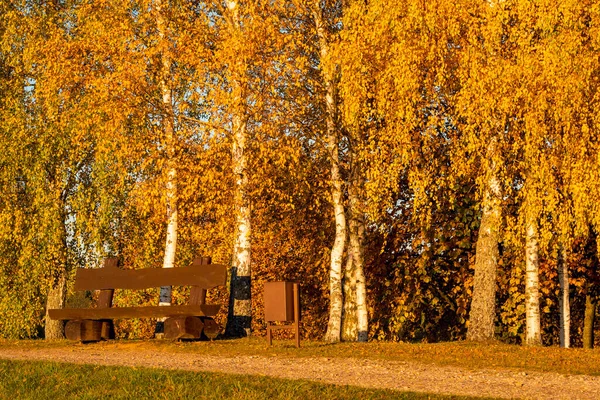 晴れた夜には秋の木々を通って公園のパス上の木製のベンチ — ストック写真