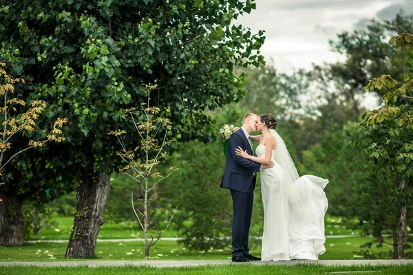 The bride and groom — Stock Photo, Image