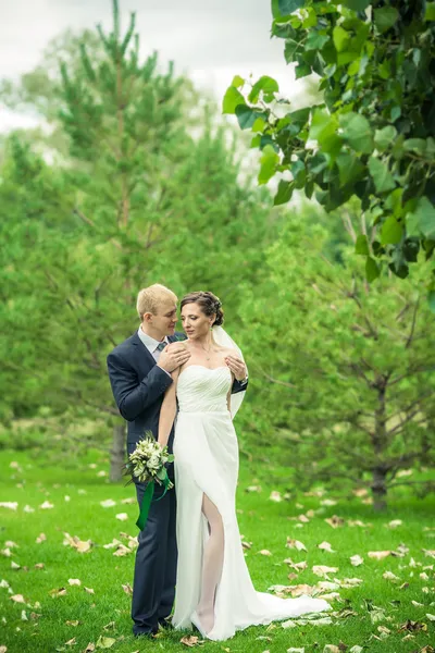 The bride and groom — Stock Photo, Image