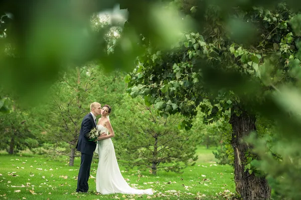 La novia y el novio — Foto de Stock