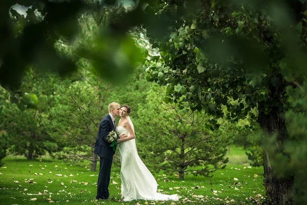 Bruden och brudgummen — Stockfoto