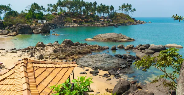 Cabras indianas incríveis. Palolem, Goa — Fotografia de Stock