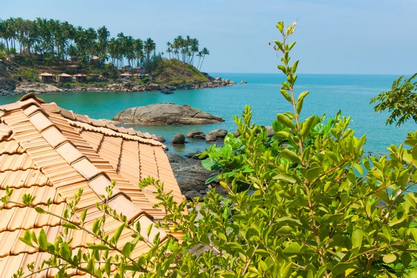 Incredible Indian bitches. Palolem, Goa — Stock Photo, Image