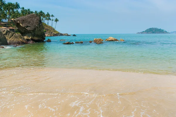 Otroliga indiska tikar. Palolem, goa — Stockfoto