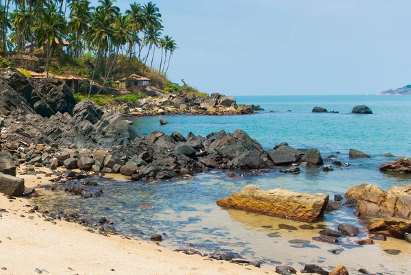 Incredible Indian bitches. Palolem, Goa — Stock Photo, Image