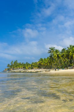 inanılmaz Hint plajları, siyah sahil varkala. Kerala, Hindistan.