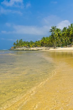 inanılmaz Hint plajları, siyah sahil varkala. Kerala, Hindistan.