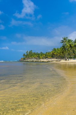 inanılmaz Hint plajları, siyah sahil varkala. Kerala, Hindistan.