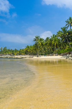 inanılmaz Hint plajları, siyah sahil varkala. Kerala, Hindistan.