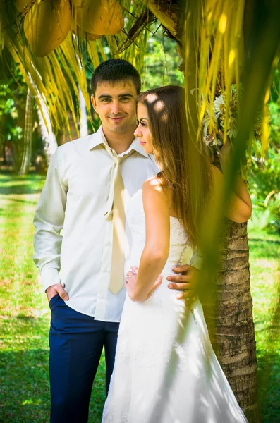 Novia y novio felices —  Fotos de Stock