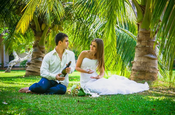 Novia y novio bebiendo champán — Foto de Stock