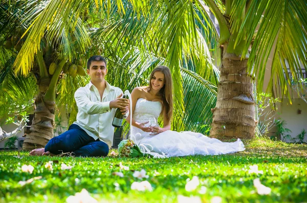 Bruden och brudgummen dricker champagne — Stockfoto